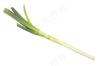 调味料大葱蔬菜
