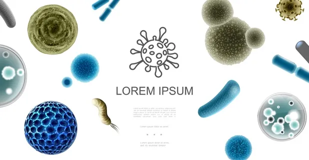 具有彩色细菌和不同形状病毒的逼真微生物概念图解