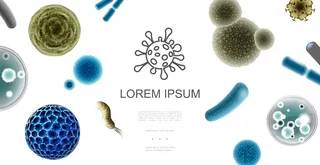 具有彩色细菌和不同形状病毒的逼真微生物概念图解