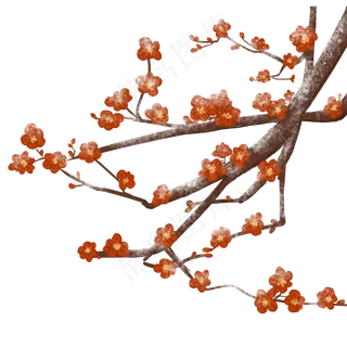 彩绘中国风梅花树枝设计可商用元
