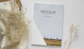 顶视图库和设备布置