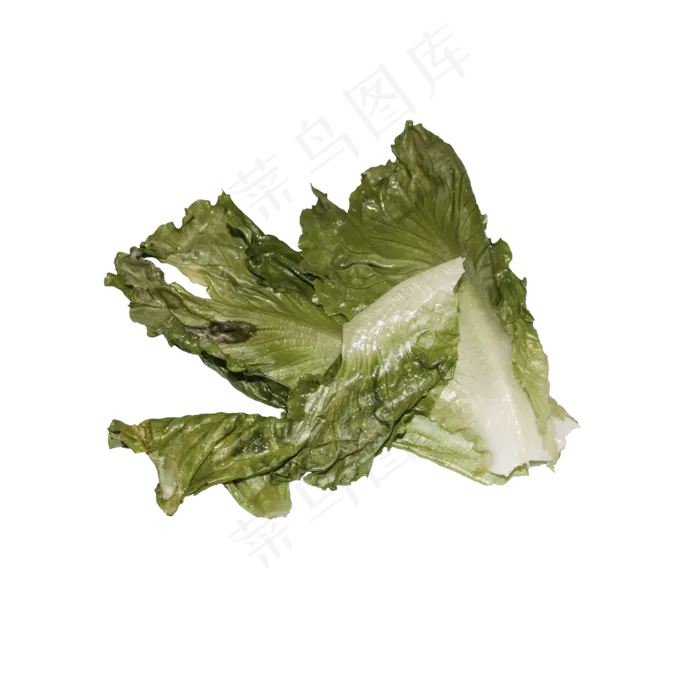 丢掉的生菜叶子(2000X2000(DPI:300))