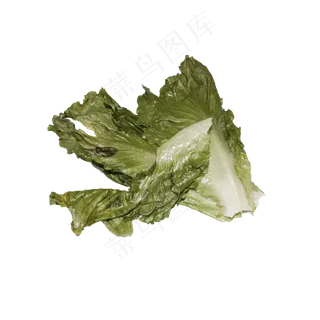 丢掉的生菜叶子