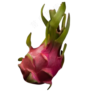 一个粉色的火龙果