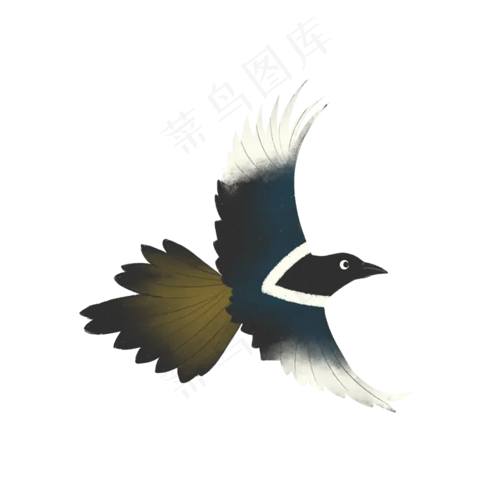 喜鹊(2000X2000(DPI:300))psd模版下载