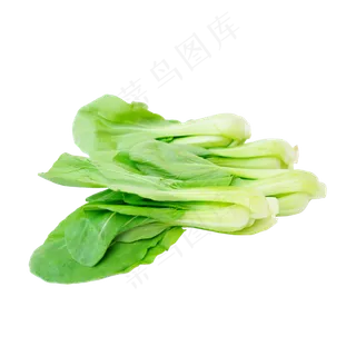 一堆小油菜 一堆小油菜