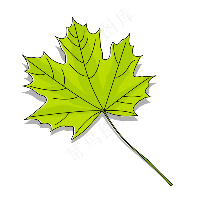 绿色枫叶叶子秋天立秋