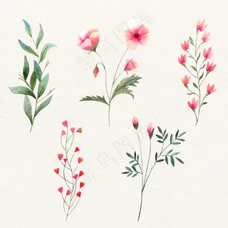 五彩缤纷的水彩野花