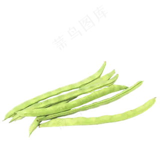 食材豆角