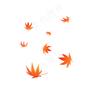 秋天枫树树叶元素