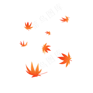 秋天枫树树叶元素