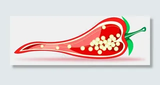 秋季切开的红辣椒