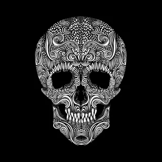 黑色背景装饰头骨