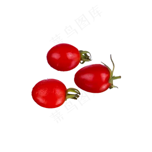 小番茄（png免抠）