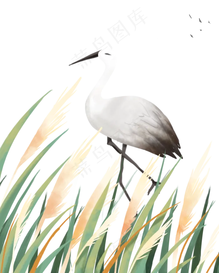 节气白露寒露秋天秋季(3545X5315(DPI:300))psd模版下载