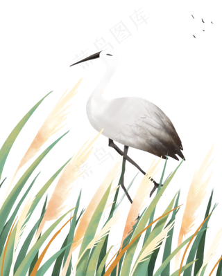 节气白露寒露秋天秋季