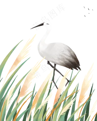 节气白露寒露秋天秋季