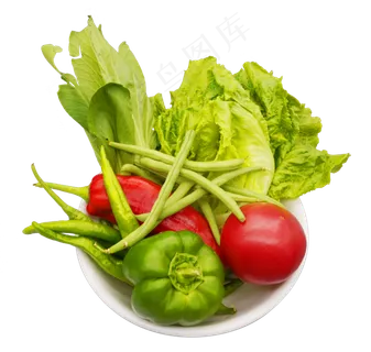 新鲜绿色蔬菜 新鲜绿色蔬菜
