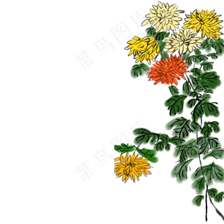 中国风秋天的菊花免抠图
