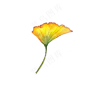 秋天黄色落叶银杏叶 秋天黄色落叶银杏叶