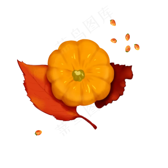 手绘立秋写实黄色枫叶南瓜(2100X2100(DPI:300))psd模版下载