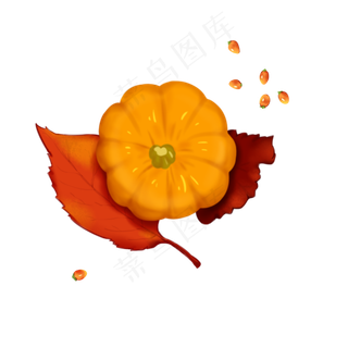 手绘立秋写实黄色枫叶南瓜