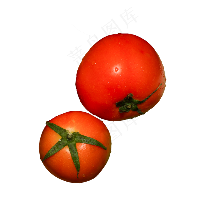西红柿蔬菜（png免抠）(2000X2000(DPI:72))psd模版下载