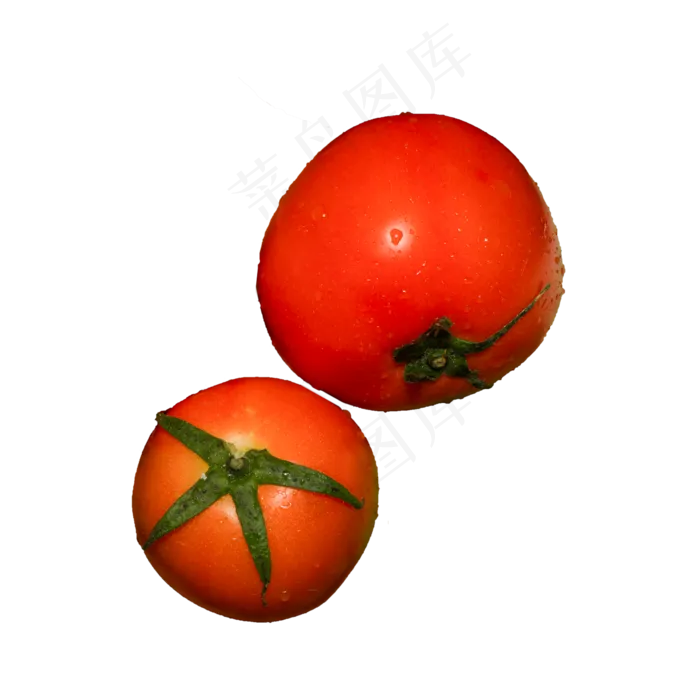 西红柿蔬菜（png免抠）(2000X2000(DPI:72))psd模版下载