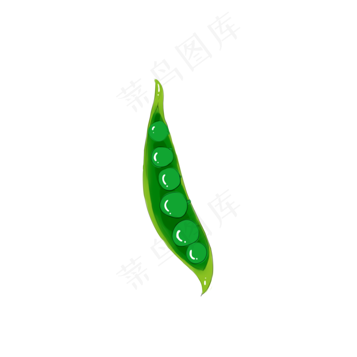立秋绿色蔬菜四季豆