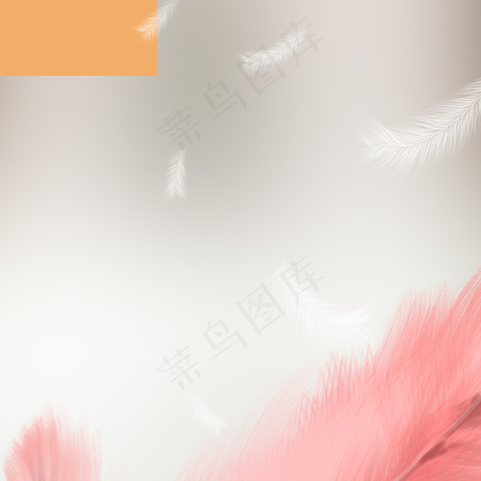 时尚棉衣女装主图psd模板直通车(800*800px 	        )psd模版下载