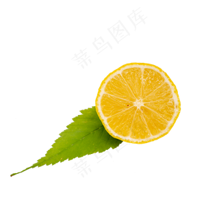 柠檬片和绿叶