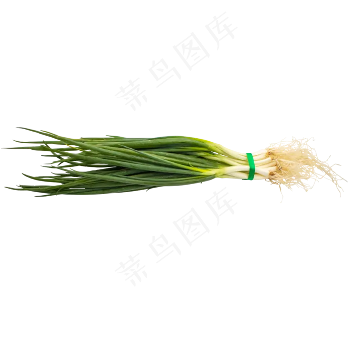 绿色蔬菜小葱(4500*4500px 300 dpi )
