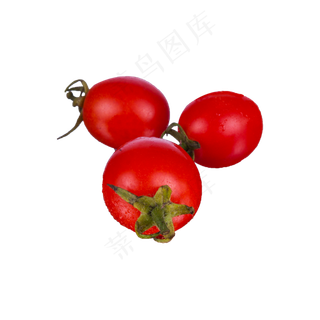 小番茄实物（png免抠）