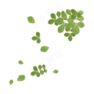 落叶秋天树叶飘落