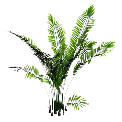 绿色装饰植被
