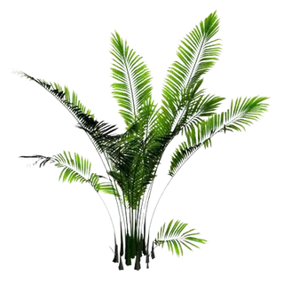 绿色装饰植被 绿色装饰植被