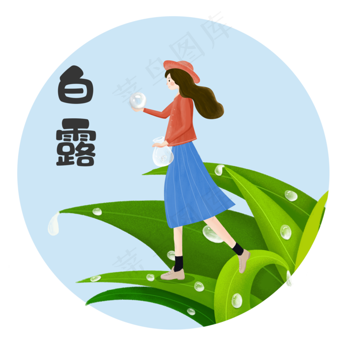 白露女孩取露水png素材
