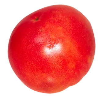 红色椭圆西红柿