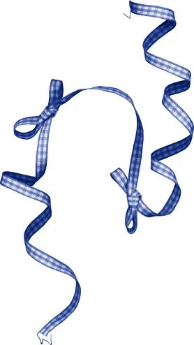 礼盒 彩带 飘带图片 蝴蝶结 礼结psd模版下载