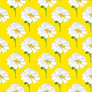 抽象手绘牡丹花无缝图案背景。插图