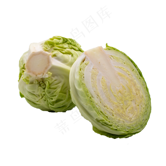 茴子白包菜(2000X2000(DPI:300))