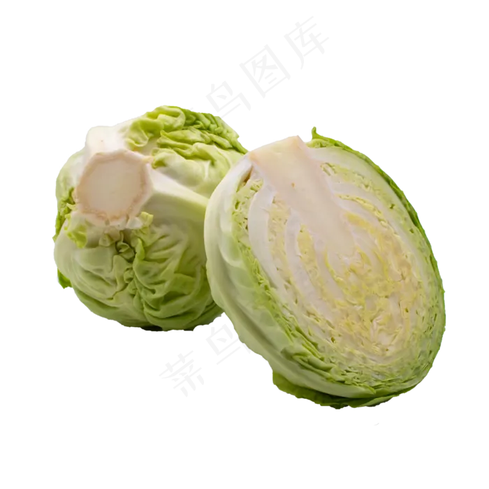 茴子白包菜(2000X2000(DPI:300))