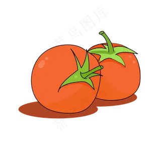 立秋小蔬菜番茄