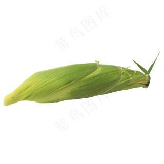 玉米苞蔬菜