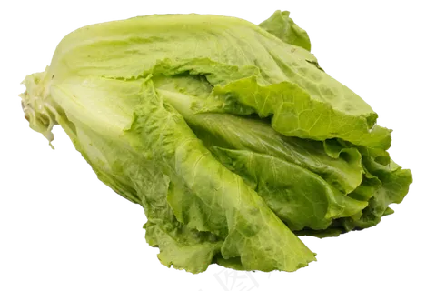 绿色蔬菜生菜 绿色蔬菜生菜