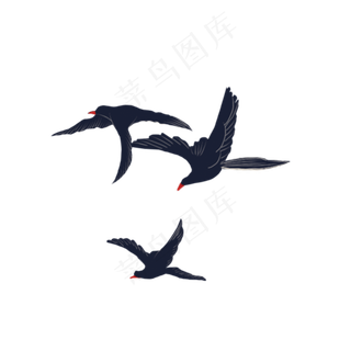 三只黑色的大雁