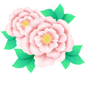 中秋节装饰图案牡丹