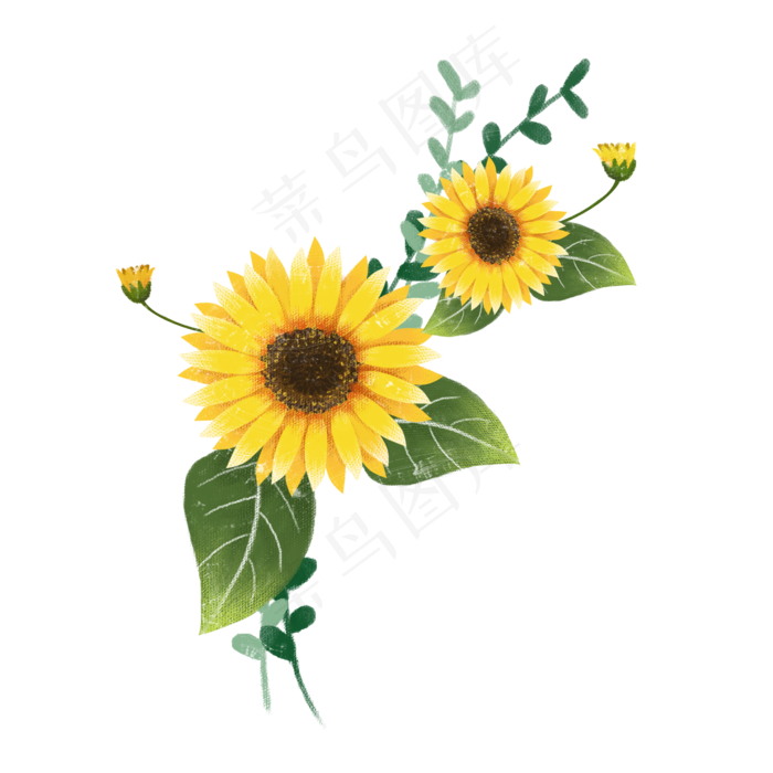 九九重阳节手绘黄色菊花免费下载