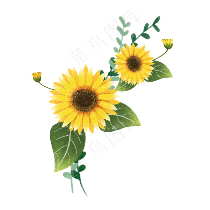 九九重阳节手绘黄色菊花免费下载(2000X2000(DPI:300))psd模版下载
