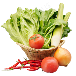 蔬菜小油菜和西红柿